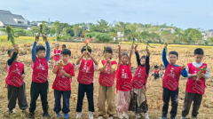 周末带娃不发愁，来晋级与同龄孩子快乐成长！