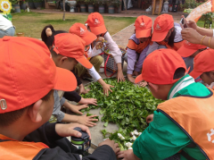 托管控流失指南：抓牢源头，让续班比招生更简单